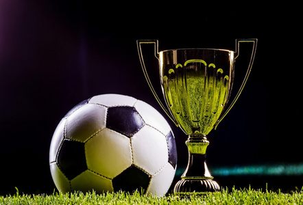 将革命精神 将革命精神