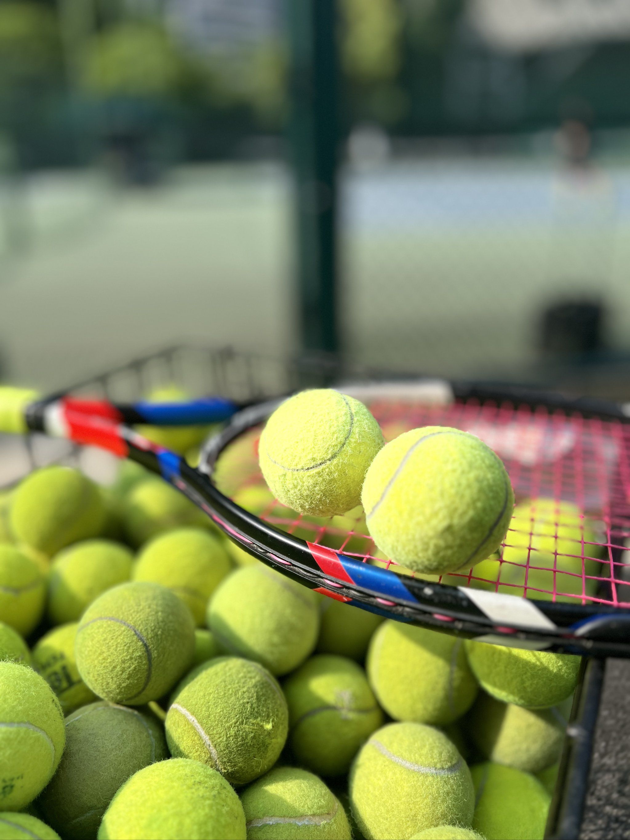 成为吸引明 成为吸引明